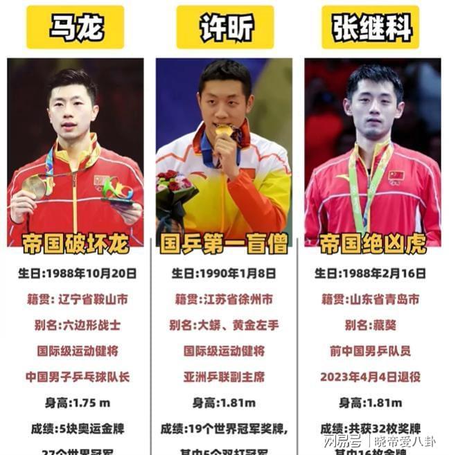 德国乒乓球队力克波兰乒乓球队,张继科统治全场的简单介绍 德国乒乓球队力克波兰乒乓球队,张继科统治全场的简单介绍