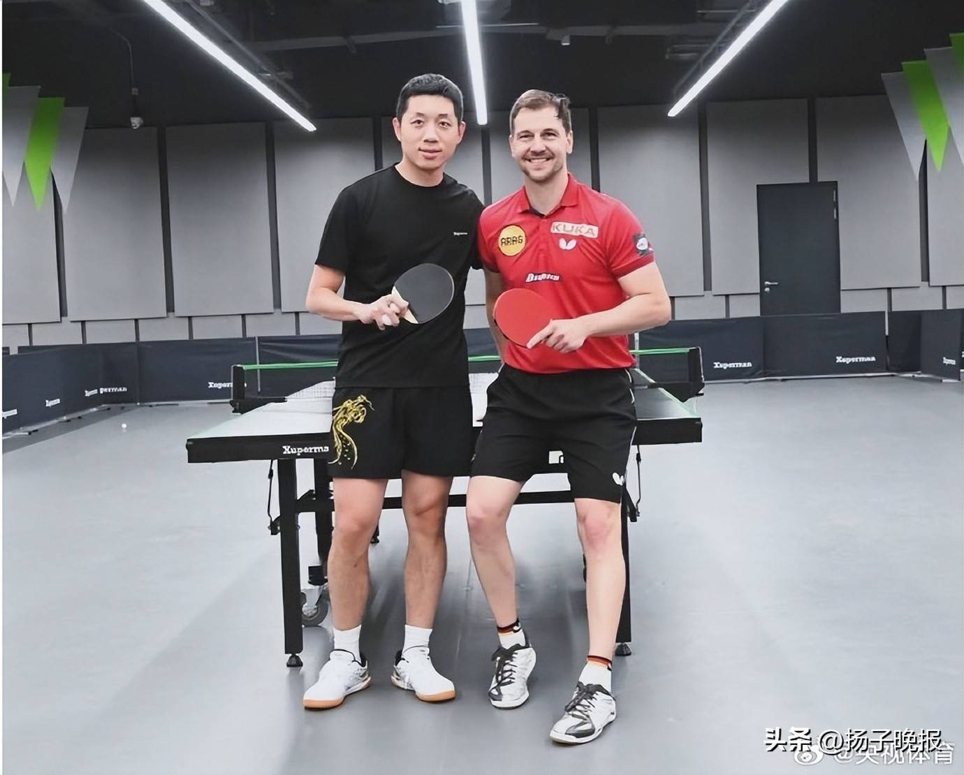 法国乒乓球队绝地反击比利时乒乓球队,波尔绝境逆转的简单介绍 法国乒乓球队绝地反击比利时乒乓球队,波尔绝境逆转的简单介绍