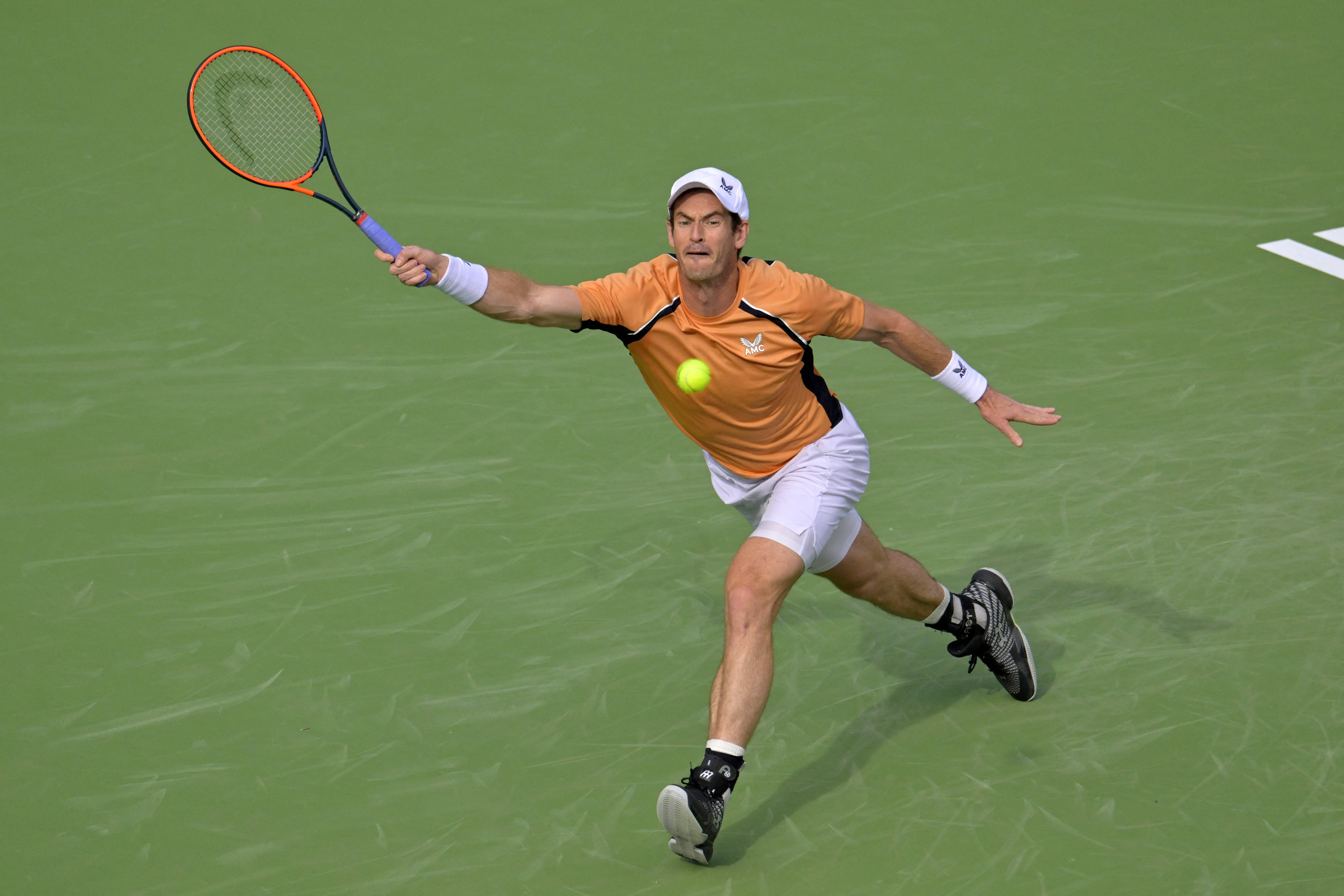 德国网球队鏖战世界网球队，穆雷爆发神勇的简单介绍