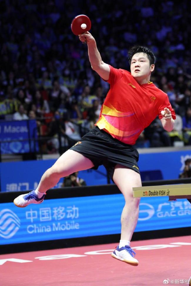 德国队绝杀法国队，樊振东惊艳四座