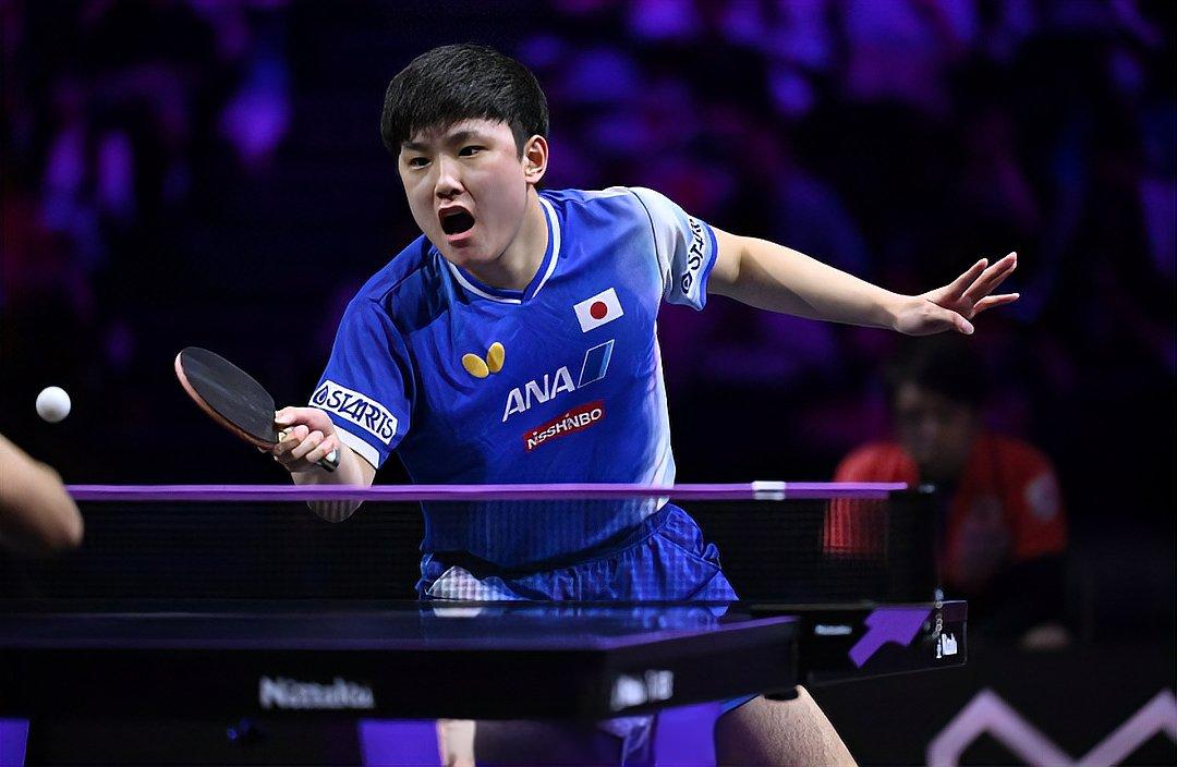 关于葡萄牙队横扫瑞典队，张本智和统治全场的信息